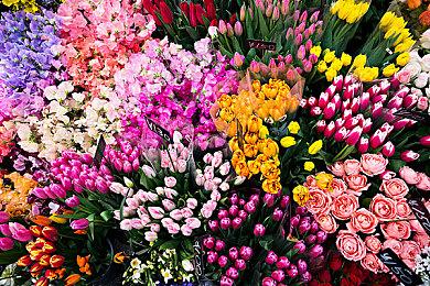 《流放之路》3.17大型拓展2月4日上线 1月底进行直播